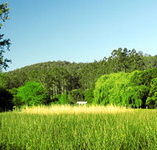 Waterholes Guest House - Accommodation QLD