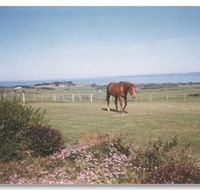 First Class Bed and Breakfast - Accommodation QLD