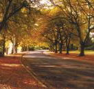 La Trobe at Beechworth - Accommodation QLD