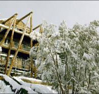Silverski - Accommodation QLD