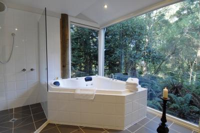 Arnica Views Luxury Retreat - Accommodation QLD 1