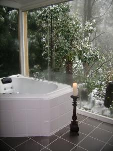 Arnica Views Luxury Retreat - Accommodation QLD 3