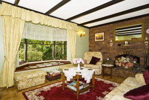 Curtis Falls Mountain Retreat - Accommodation QLD 1