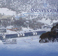 Snowy Gums Chalet - Accommodation QLD