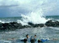 Bargara Beach Motor Inn - Accommodation QLD 0