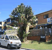 Melaluka And Costa Bella Luxury Apartments - Accommodation QLD