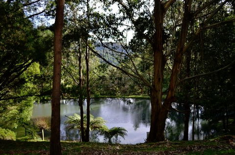 Mirador Springs - Accommodation QLD 1