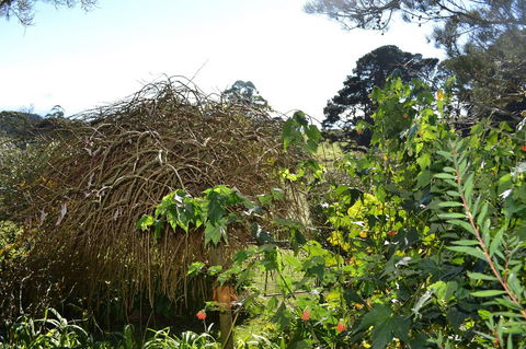 Mirador Springs - Accommodation QLD 3