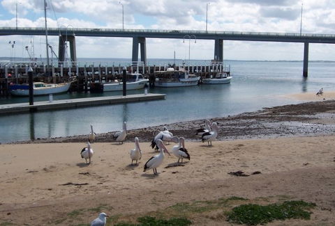 BIG4 Phillip Island Caravan Park - Accommodation QLD 5