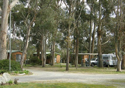 Shady Acres Caravan Park Ballarat - Accommodation QLD 5