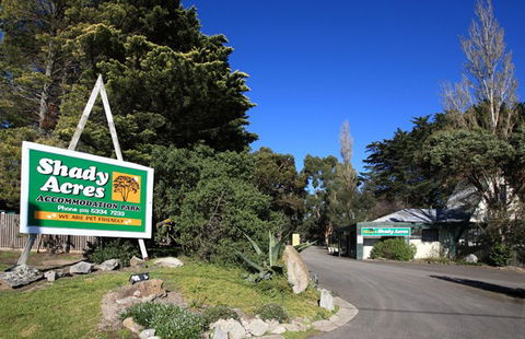 Shady Acres Caravan Park Ballarat - Accommodation QLD 6