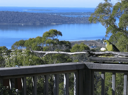Bed in the Treetops - Accommodation QLD
