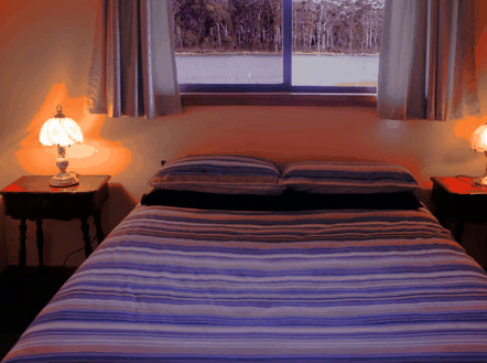 Lake Yalleena Cabins - Accommodation QLD