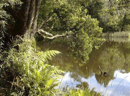 Weldborough Hotel - Accommodation QLD