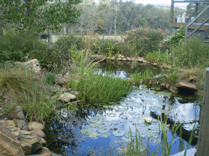 Crabapple Lane Bed & Breakfast - Accommodation QLD 2