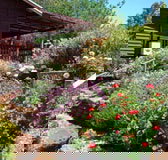 Chestnut Brook Cottage - Accommodation QLD