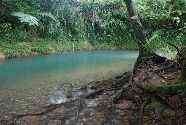 Heritage Lodge And Spa - Accommodation QLD