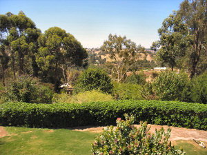 Ascot Holiday House - Accommodation QLD 2