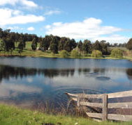 Glenlynn Cottages - Accommodation QLD