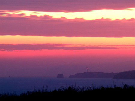 Anglesea Overboard Seaside Cottage - Accommodation QLD 4