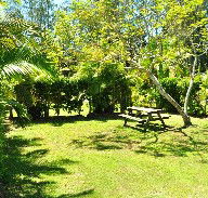 Wooli Caravan Park - Accommodation QLD
