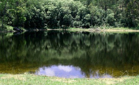 Mystwood Retreats - Accommodation QLD 5