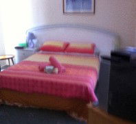 Lake Illawarra Bed & Breakfast - Accommodation QLD 4