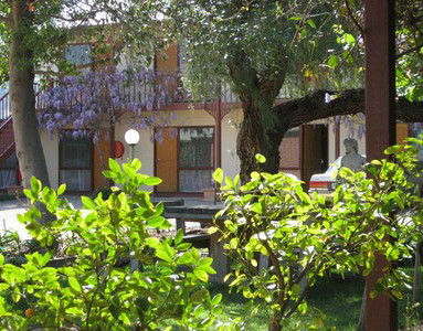 Central Motor Inn Wentworth - Accommodation QLD 2