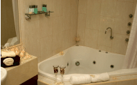 Club Motor Inn - Accommodation QLD 1