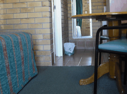 Dragon  Phoenix Motel - Accommodation QLD