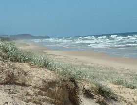 Beachcomber Peregian Beach - Accommodation QLD 4