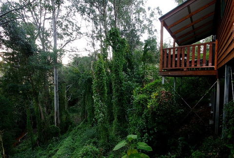 Ravensbourne Forest Chalets - Accommodation QLD 1