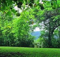 Misty Mountain Retreat - Accommodation QLD