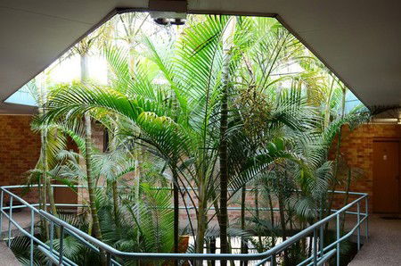 Bankstown Motel 10 - Accommodation QLD 5