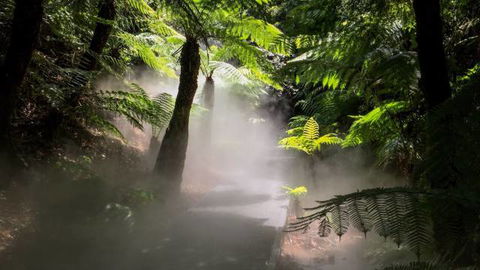 Australian National Botanic Gardens - Accommodation QLD 4