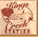 Kings Creek Station - Accommodation QLD