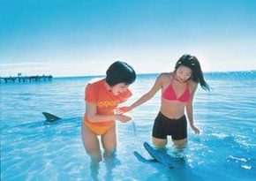 Aubin Grove WA Accommodation QLD