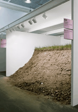 Ryan Renshaw Gallery - Accommodation QLD 1