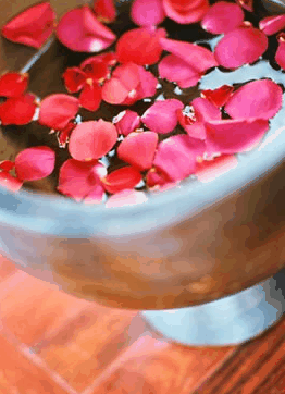 Ripple Brisbane Massage Day Spa And Beauty - Accommodation QLD 2