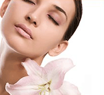 Stephanies Spa Retreat - Accommodation QLD