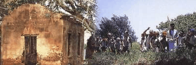 St Helena Island - thumb 1