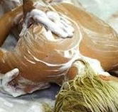 Exotique Massage - Accommodation QLD