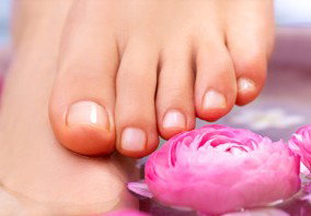 Indulge Spa Retreat - Accommodation QLD 3