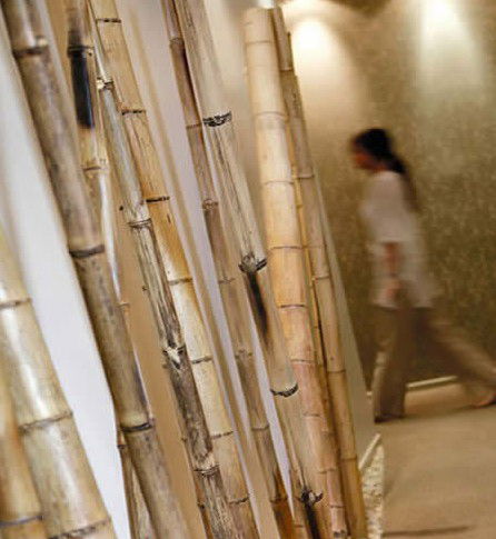 Spa Nirvana - Accommodation QLD 0