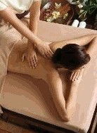 Argital Clay Australia - Accommodation QLD 1
