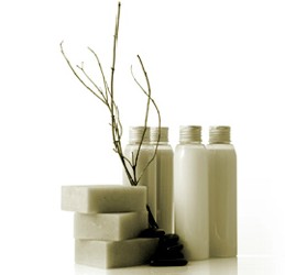 Oasis Day Spa - Accommodation QLD 0