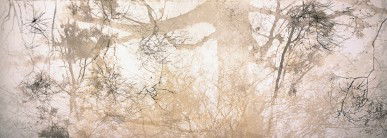 Dianne Tanzer Gallery & Projects - Accommodation QLD 3
