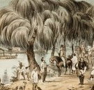 Joshua McClelland Print Room - Accommodation QLD