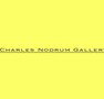 Charles Nodrum Gallery - Accommodation QLD