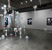 Nellie Castan Gallery - Accommodation QLD